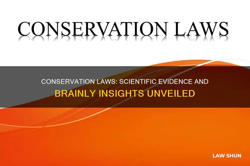 what evidence supports a conservation law brainly