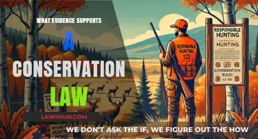 Conservation Laws: Scientific Evidence and Real-World Applications Explained