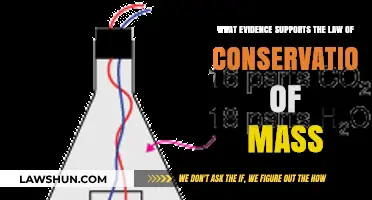 Proving the Law of Conservation of Mass: Key Scientific Evidence Explained