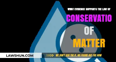 Proving Matter's Eternal Balance: Evidence for Conservation of Matter