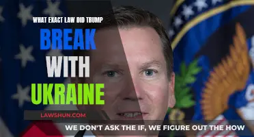 Trump's Ukraine Scandal: What Laws Were Broken?