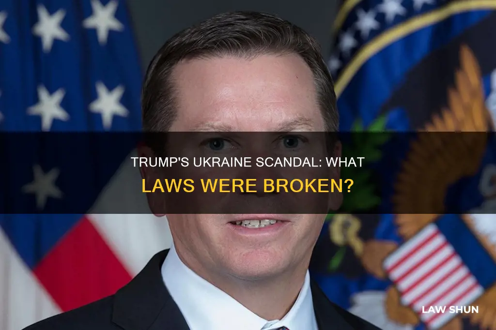what exact law did trump break with ukraine