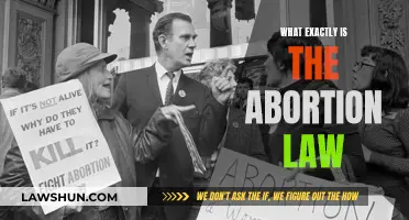 Understanding Abortion Law: What You Need to Know