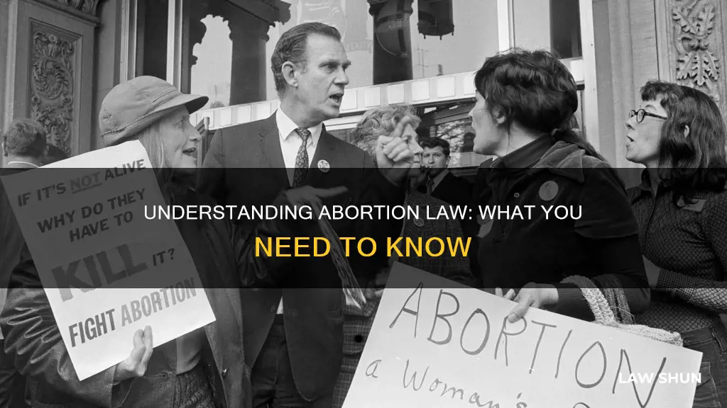 what exactly is the abortion law