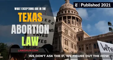 Texas Abortion Law: Understanding the Exceptions