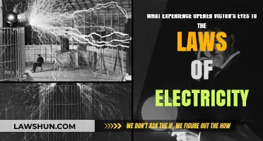 Victor's Eye-Opening Journey: Unveiling the Secrets of Electricity's Laws