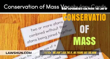 Proving the Law of Conservation: Experiments and Mass Balance