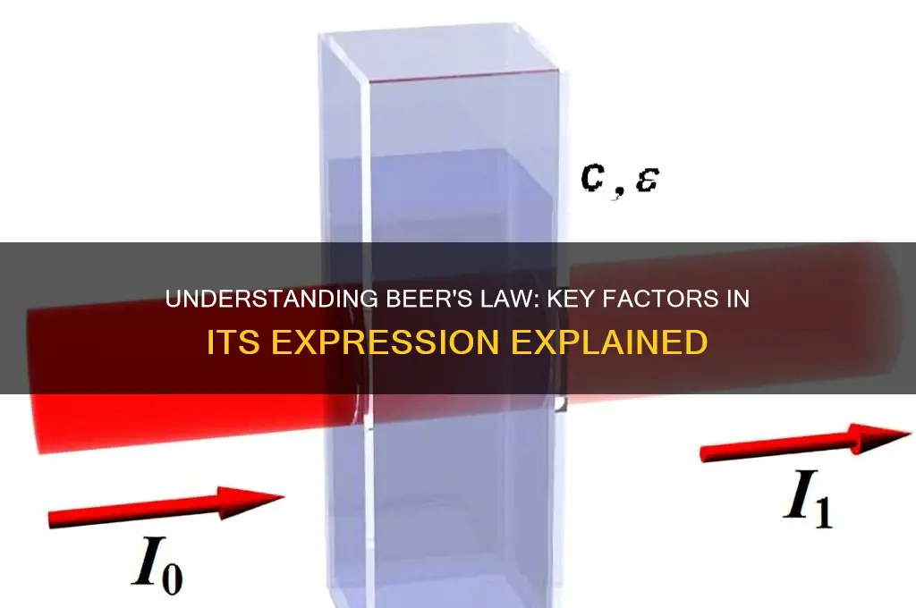 what factors are included in the beer