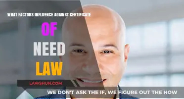 Challenges to Certificate of Need Laws: Key Factors and Implications
