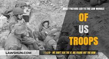 Understanding the Decline: Factors Behind Low Morale in US Troops
