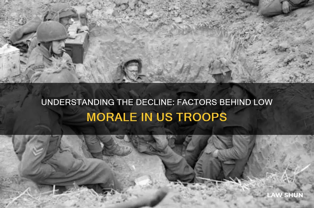 what factors led to the law morale of us troops