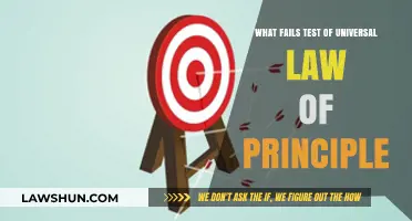 The Law of Universal Principle: What Fails?