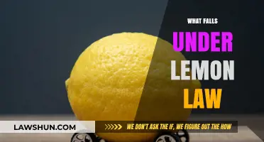 Understanding Lemon Law: What Qualifies as a Defective Vehicle?
