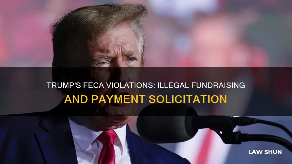 what fec law did trump break