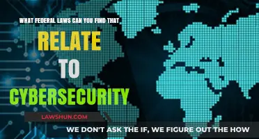 Cybersecurity: Federal Laws You Need to Know