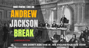 Andrew Jackson: Federal Law Breaker or Maverick?