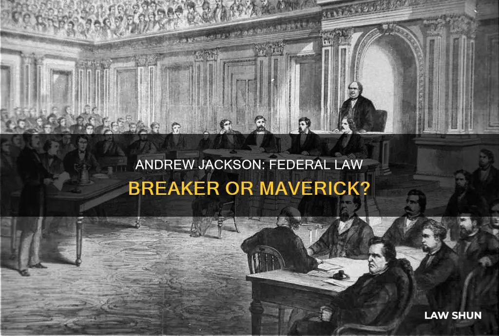 what federal laws did andrew jackson break