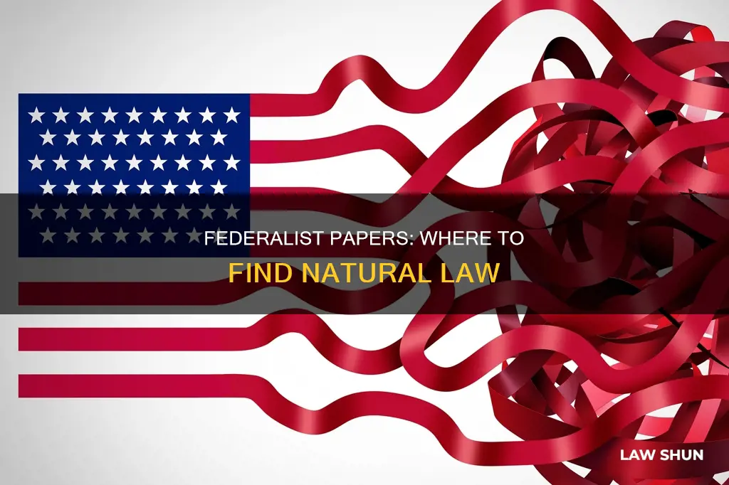 what federalist paper can the word natural law be found