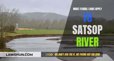 Satsop River: Understanding Applicable Federal Laws and Regulations