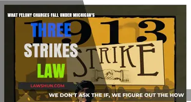 Understanding Michigan's Three Strikes Law: Felony Charges and Consequences