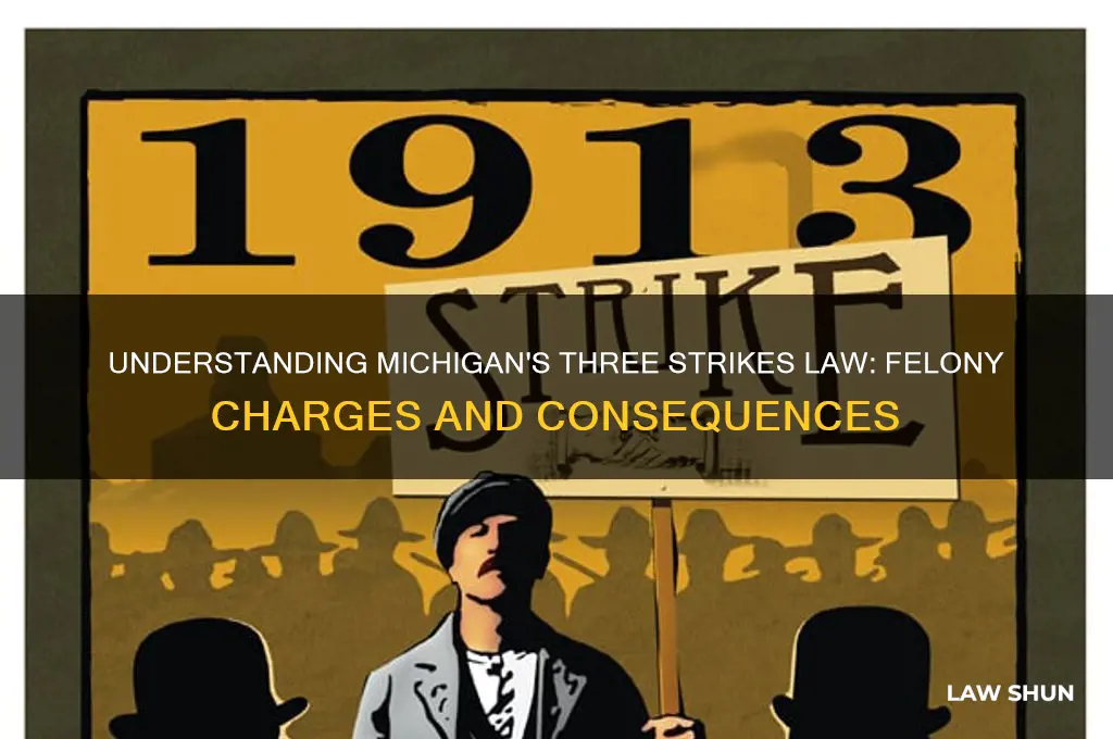 what felony charges fall under michigan