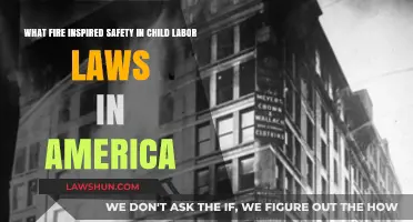 Fire's Fury: Sparking Child Labor Reforms in American History