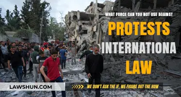 International Law: When Force Meets Protests