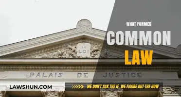 How Common Law Was Established