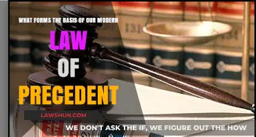 The Foundation of Modern Law: Understanding the Doctrine of Precedent