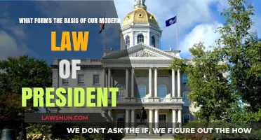 Foundations of Modern Presidential Law: Principles, History, and Evolution