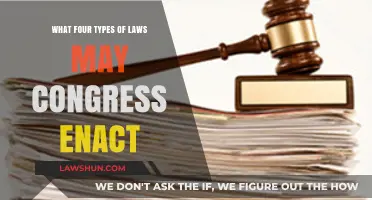 Understanding Congress's Authority: Four Key Types of Laws Enacted