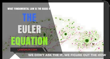 The Euler Equation: Rooted in the Fundamental Law of Conservation