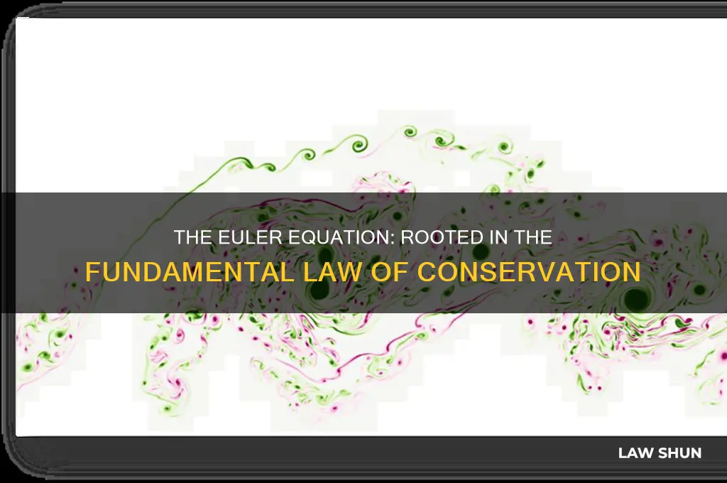 what fundamental law is the basis of the euler equation
