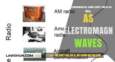 Unveiling Light's Secrets: Fundamental Laws Governing Electromagnetic Waves
