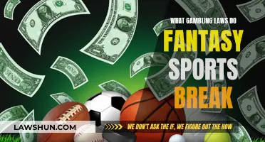 Fantasy Sports: Gambling Laws Broken and Unseen