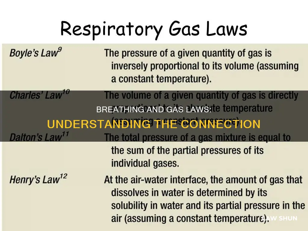 what gas law applies to breathing