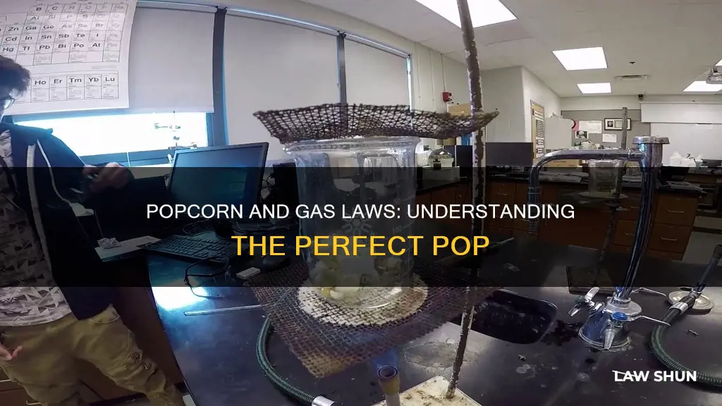 what gas law applies to popcorn