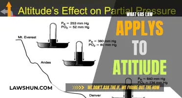 Altitude's Impact: Understanding Gas Laws in the Sky