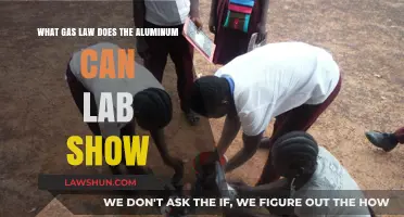 Aluminum Can Lab: Understanding Gas Laws