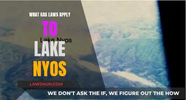 Gas Laws: Understanding Lake Nyos' Deadly Phenomenon