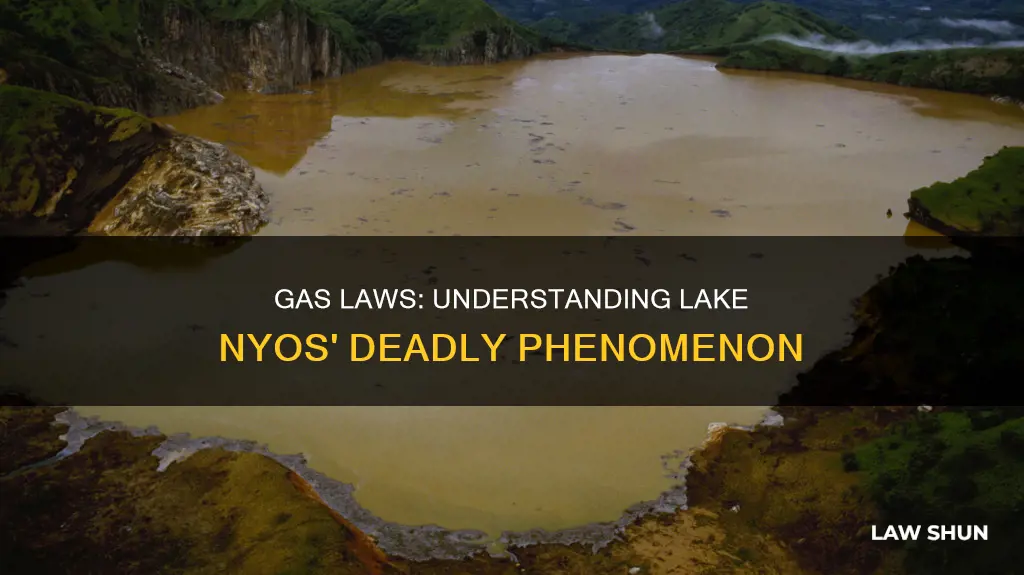 what gas laws apply to lake nyos