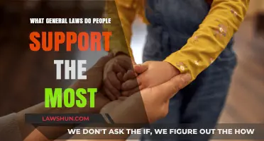 Most Supported Laws: Public Consensus on Key Legal Principles