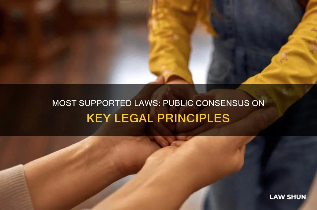 what general laws do people support the most