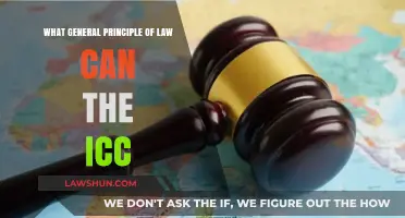 ICC's General Principles: A Legal Framework