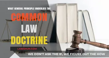 The Common Law Doctrine: Underlying Principles Explained
