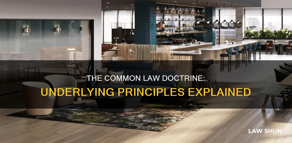 what general principle underlies the common law doctrine