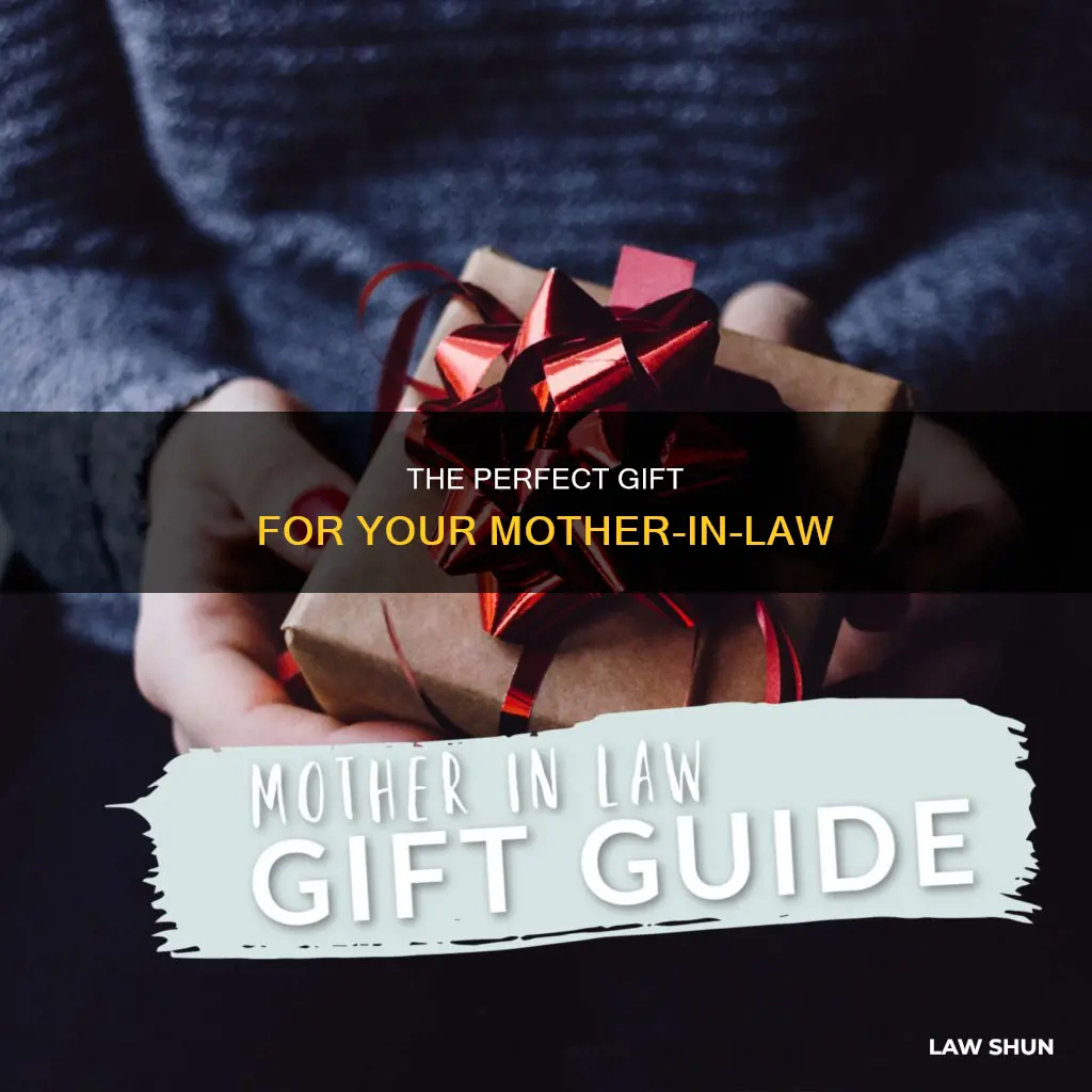 what gift can i buy for my mother in law