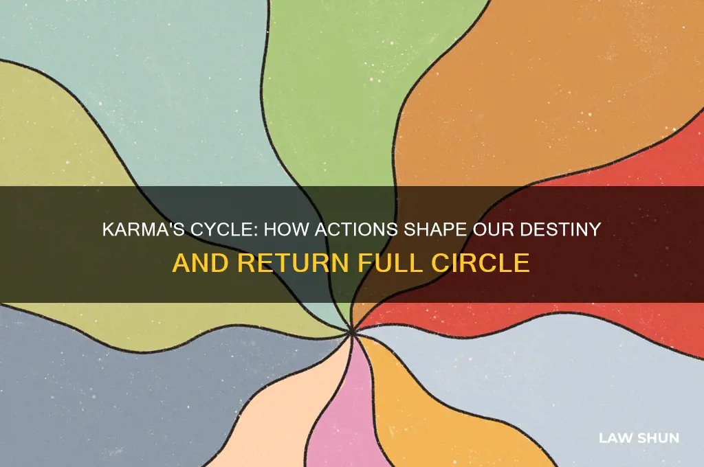 what goes around comes around law of karma