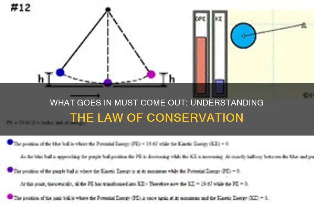 what goes in must come out law