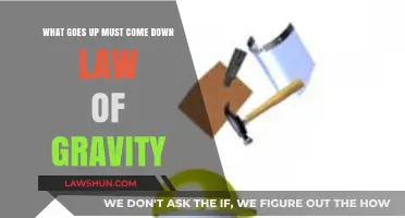 Gravity's Unyielding Rule: What Rises Always Falls, No Exceptions